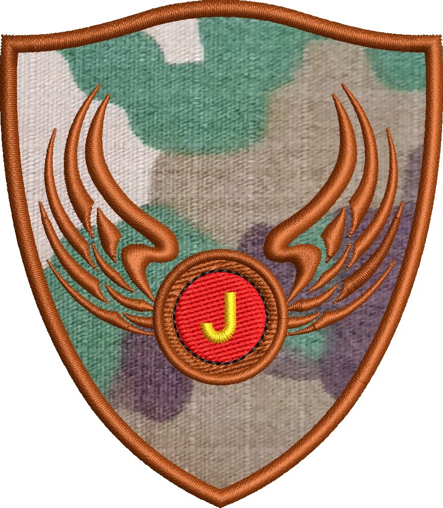 ECUSON / EMBLEMA - ARIPI COMBAT